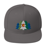 Colorado Flag Forest Trees Classic Snapback Hat
