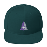 Colorado Tree Two Tone Classic Snapback Hat