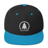 Colorado Tree Simple Classic Snapback Hat